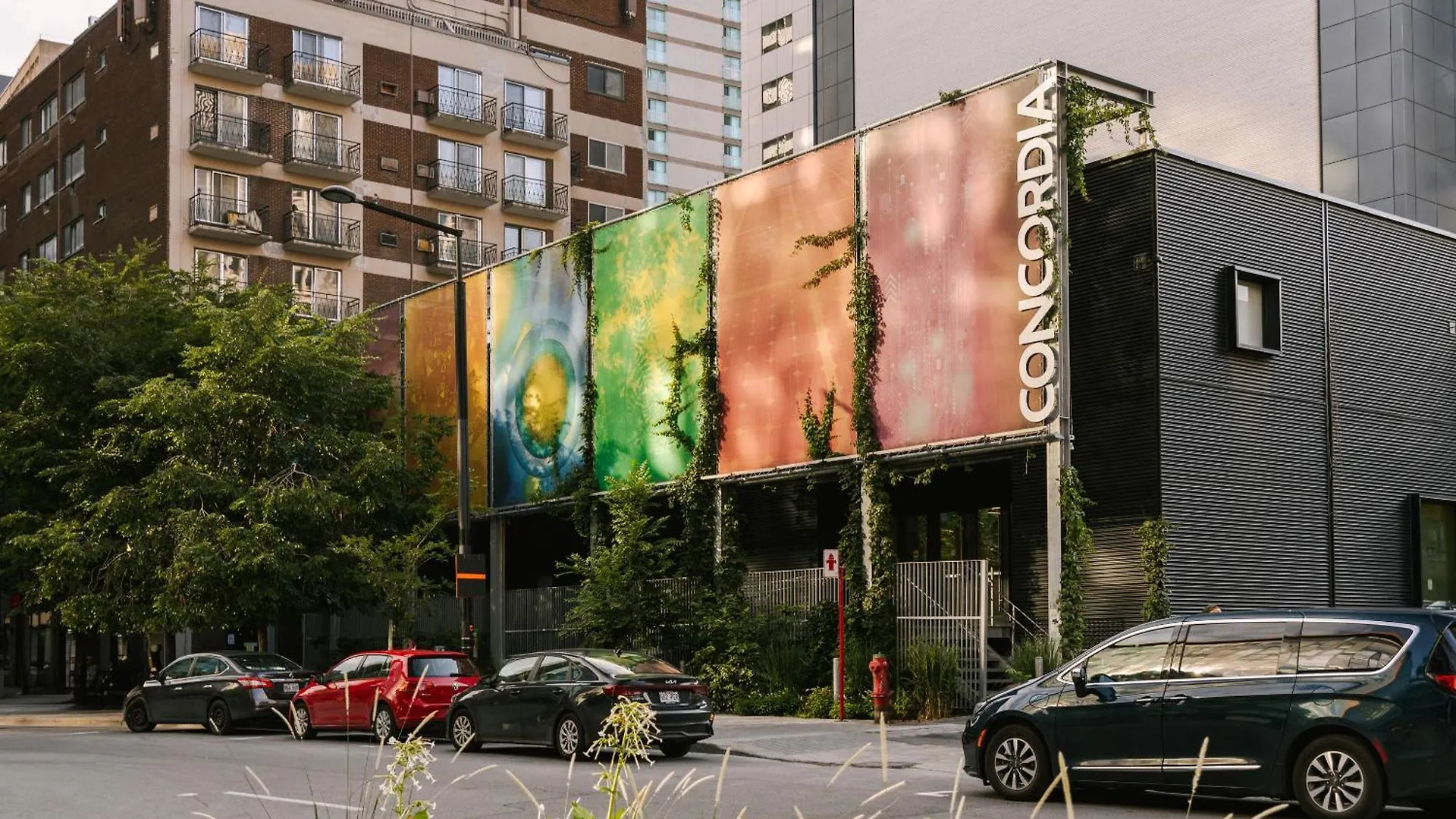 Sonder Maisonneuve Montreal